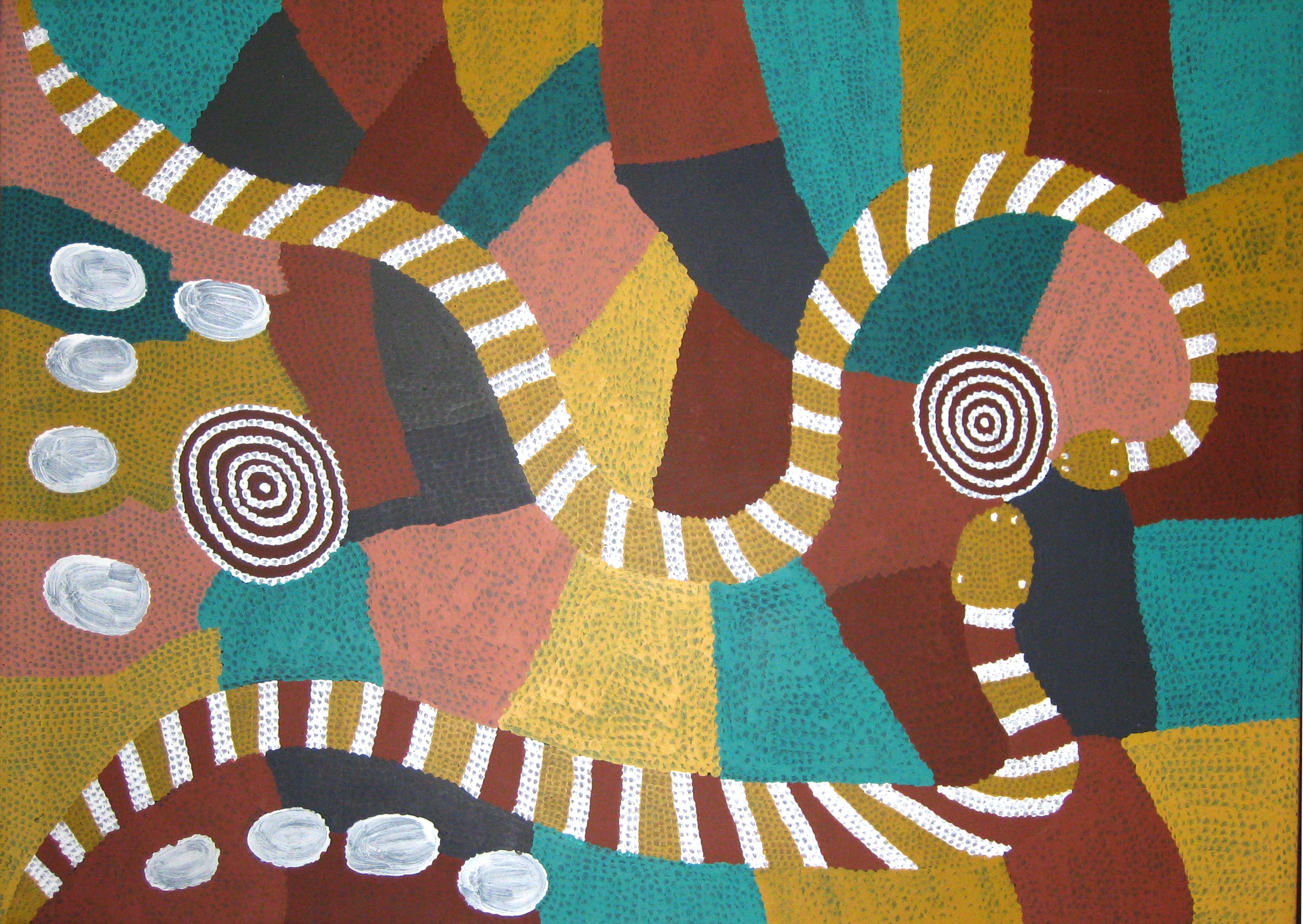 Carpet Snake Dreaming