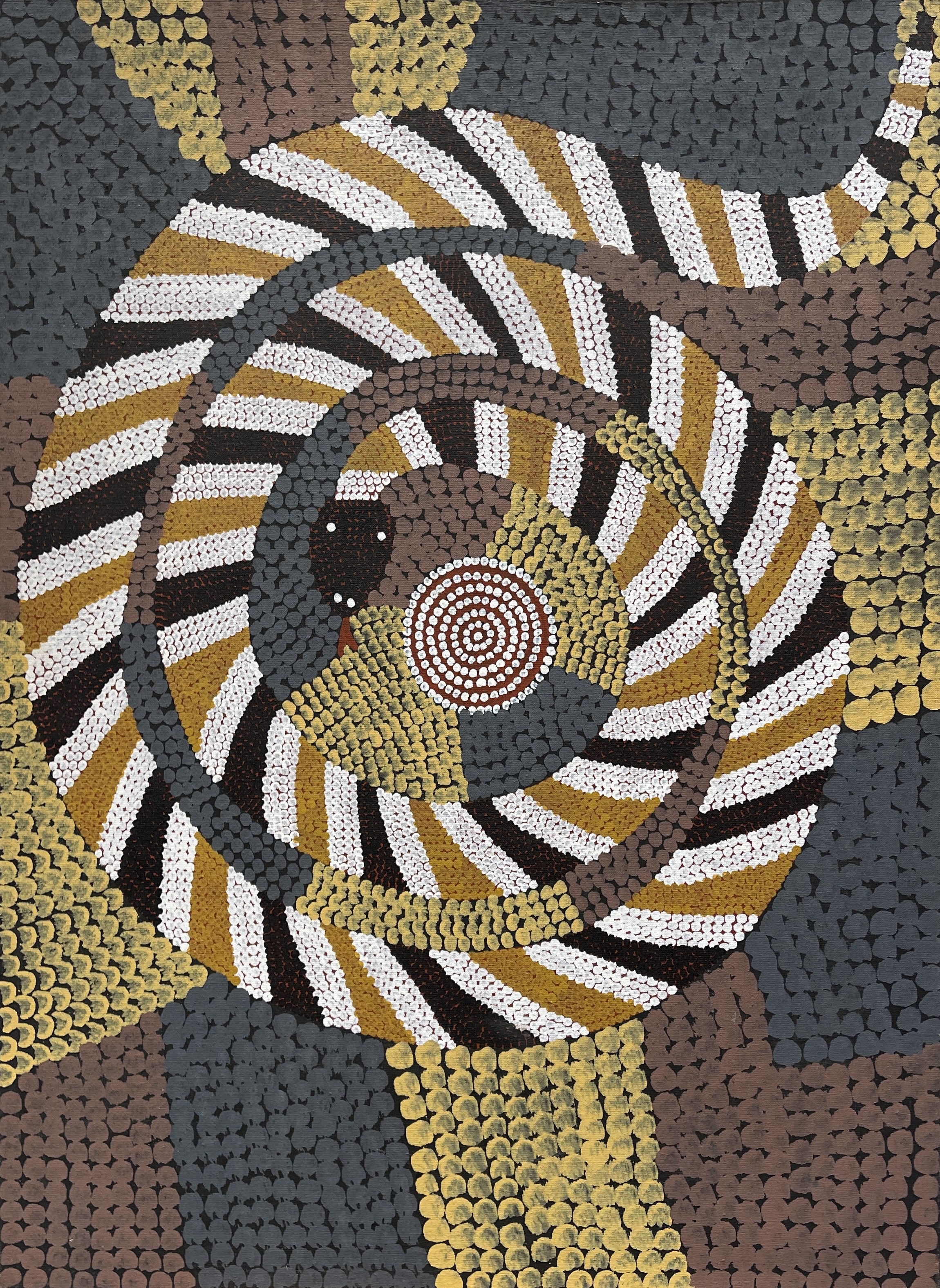 Carpet Snake Dreaming