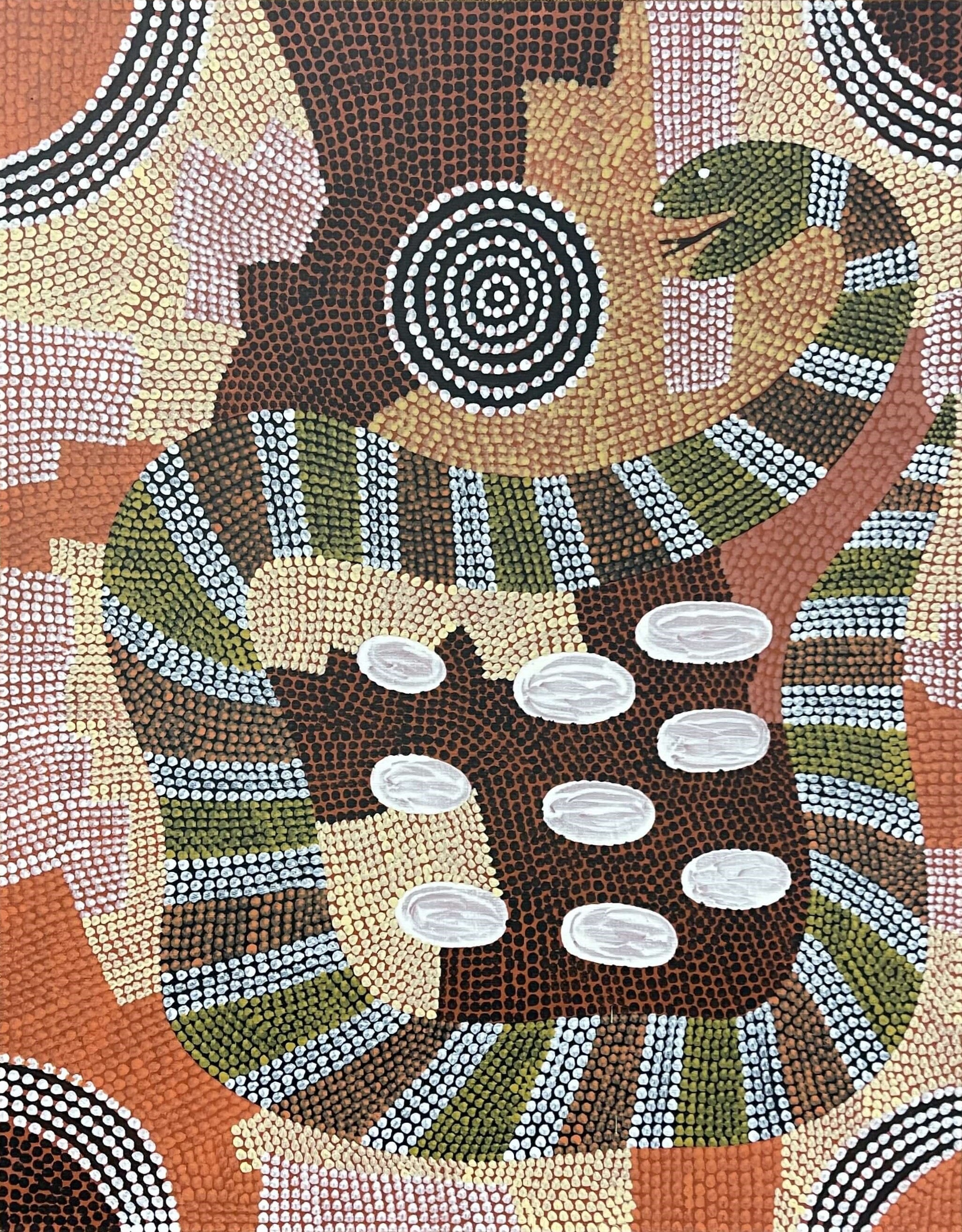 Carpet Snake Dreaming