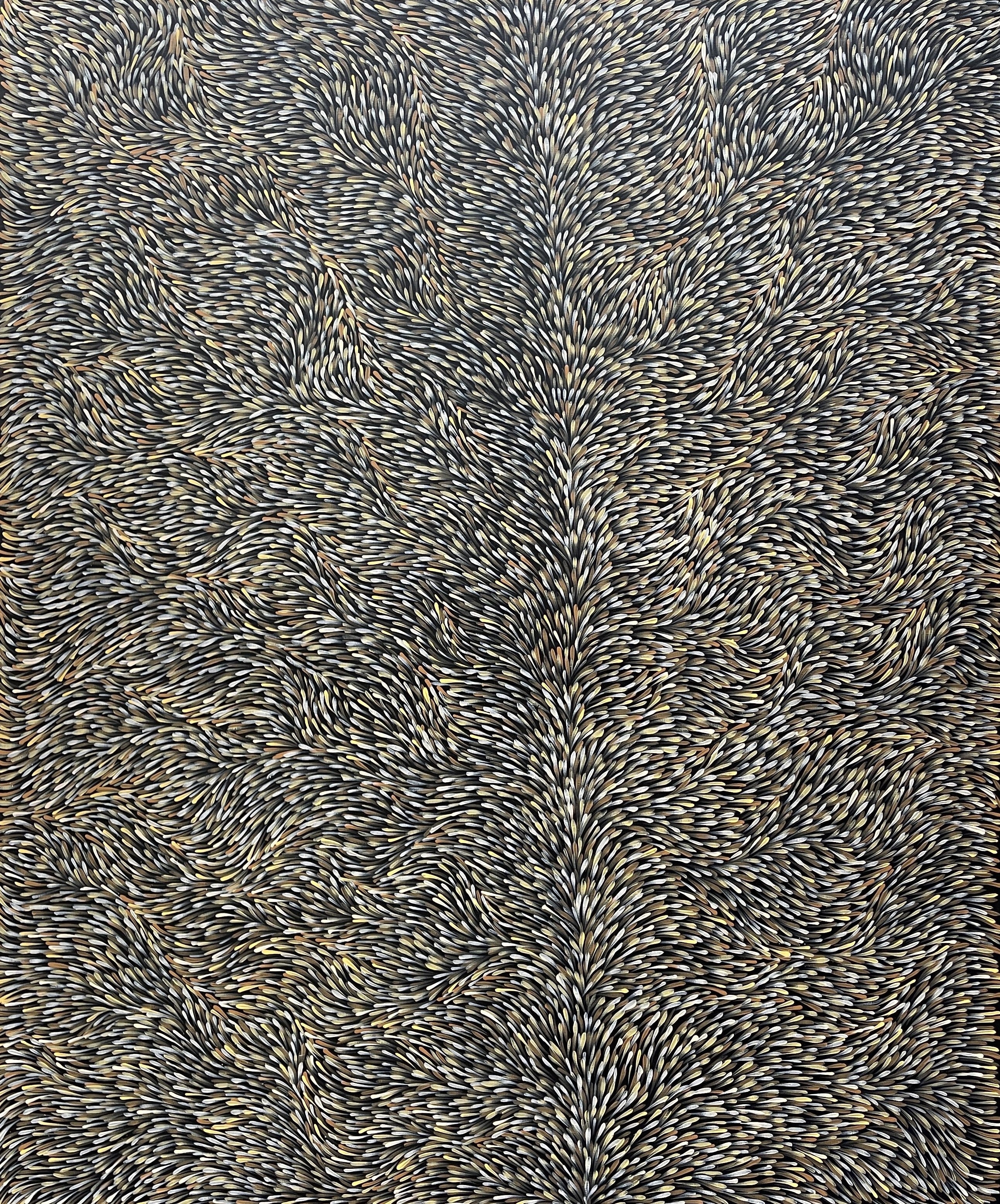 Bush Medicine Leaves