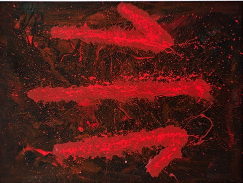 Michael Nelson Jagamara Aboriginal Artist