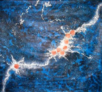 Gabriella Possum Nungurrayi Aboriginal Artist Australia