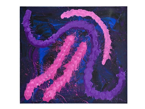 Michael Nelson Jagamara Aboriginal Artist Red Desert Dreamings